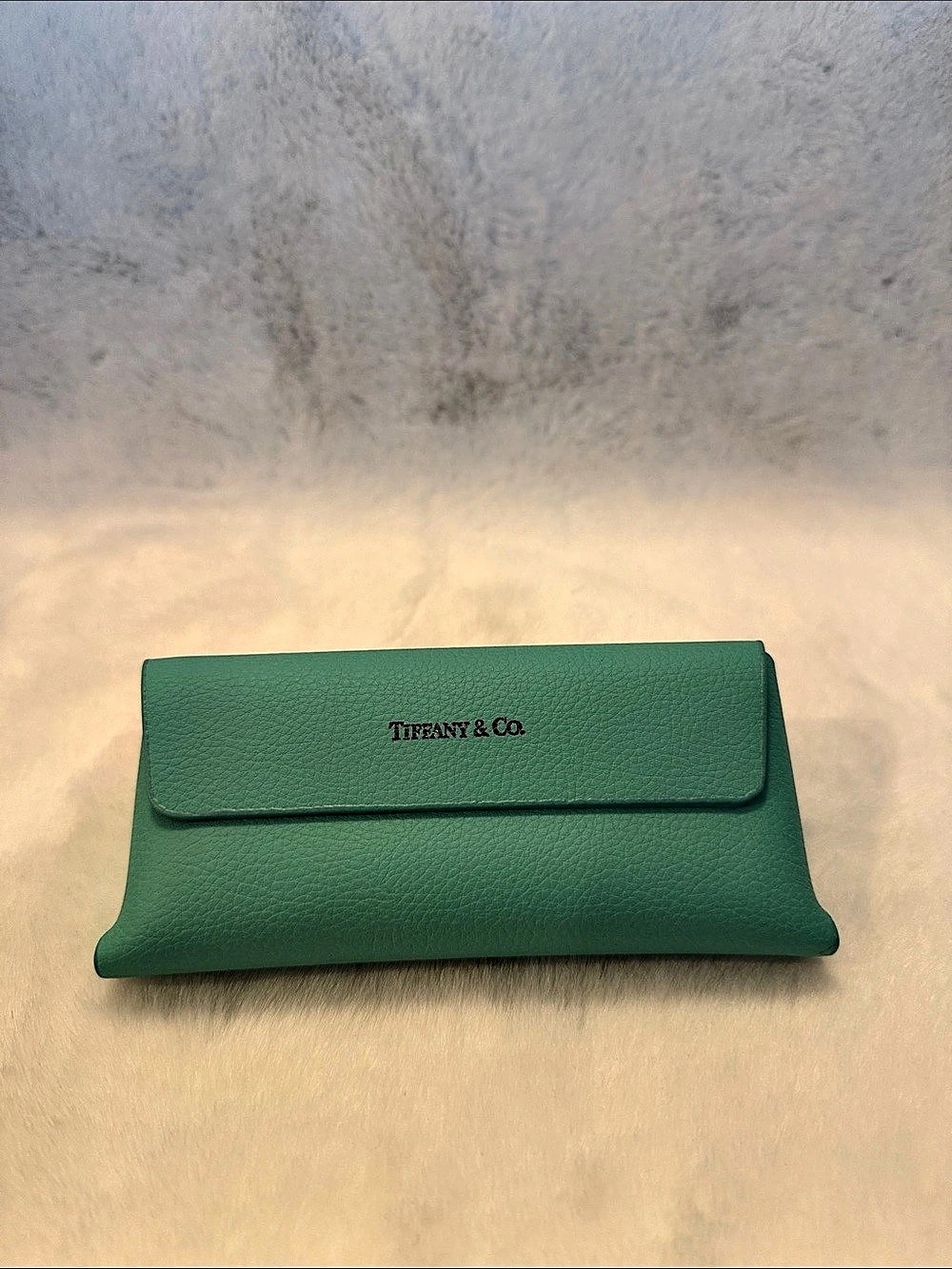 Source Unknown Signature Turquoise Leather Eyeglass / Sunglasses Hard Case